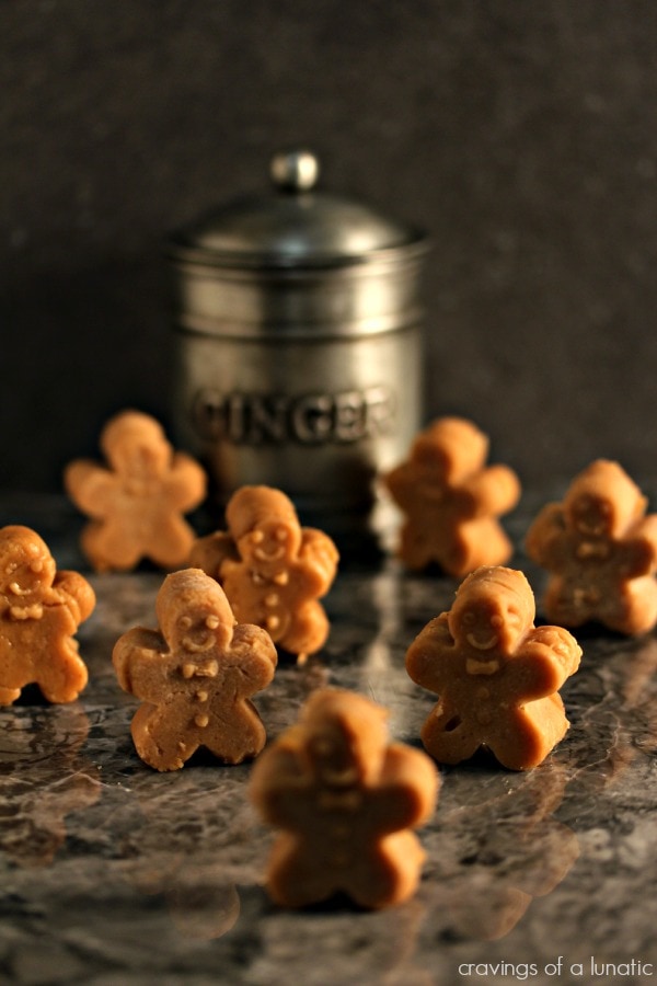 Gingerbread Fudge {Cravings of a Lunatic}