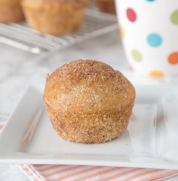 Cinnamon Muffins - light and fluffy muffins coated in cinnamon and sugar
