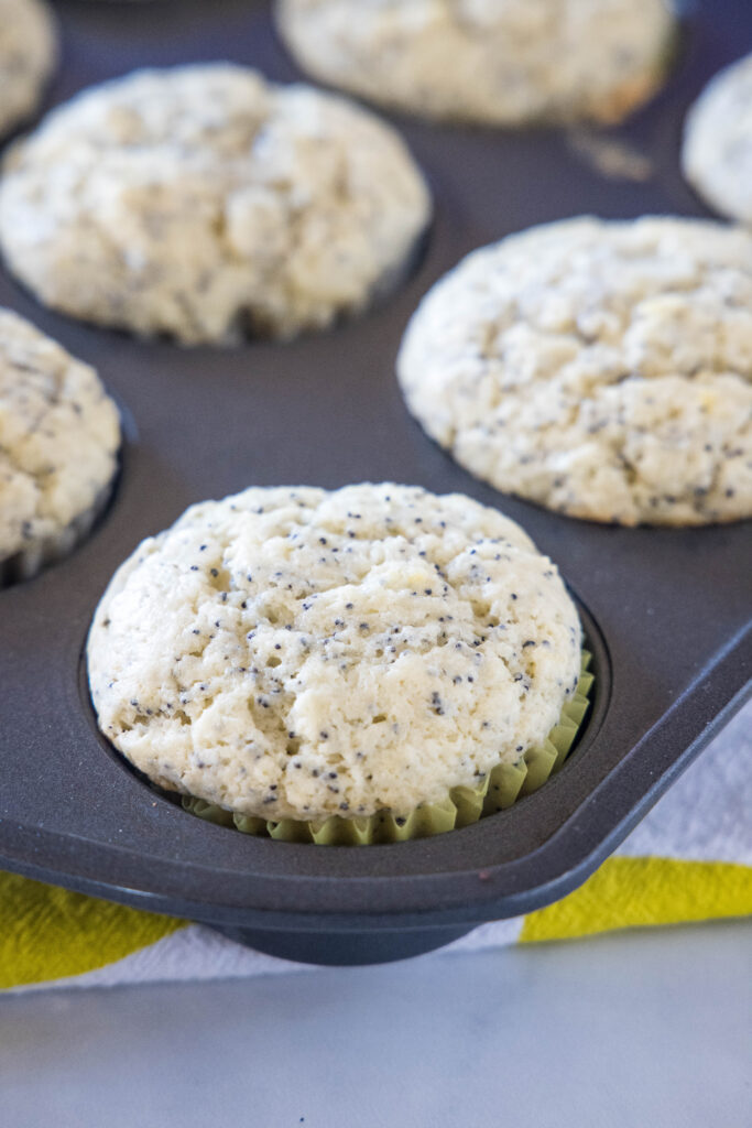 Close up of baked lemon poppy seed muffins in a muffin tin.