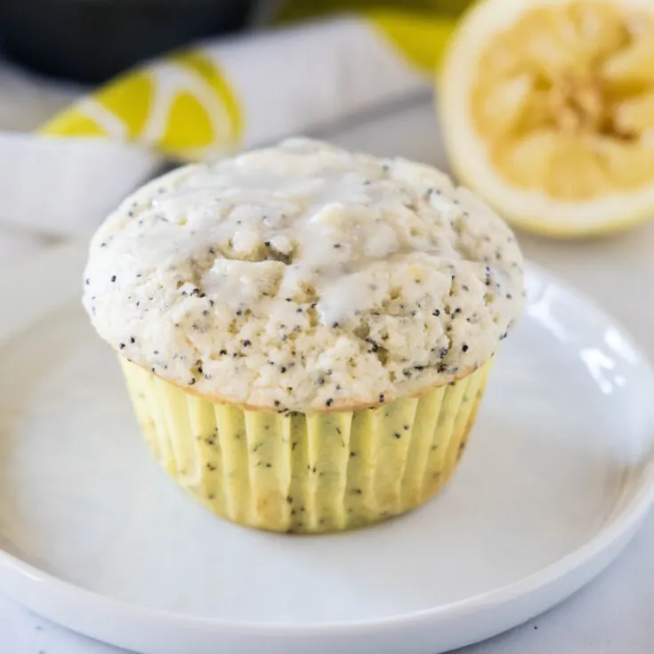 Close up of a lemon poppy seed muffin on a white plate.