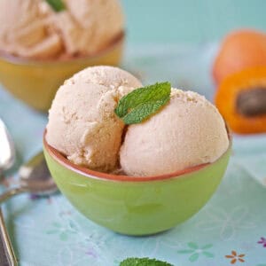 close up apricot frozen yogurt in a green bowl