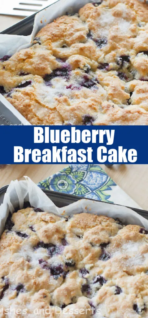 blueberry breakfast cake in baking pan