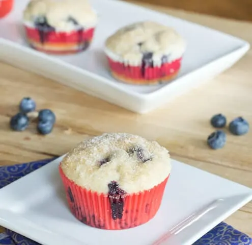Blueberry Muffin - A classic blueberry muffin with a cinnamon and sugar topping. This is the best blueberry muffin recipe I have ever tried!