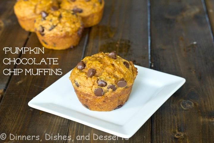 Pumpkin Chocolate Chip Muffins {Dinners, Dishes, and Desserts}