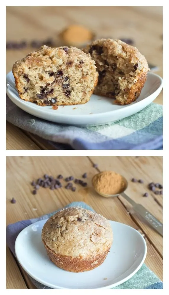 Cinnamon Chocolate Chip Muffins - a great way to start your day! (plus they freeze well too)