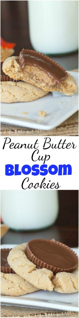 Peanut Butter Cup Blossom Cookies - take classic Christmas cookies to a whole new level and really impress!  Peanut Butter Cups make these cookies over the top! #cookies #reeses #peanutbutter #peanutbuttercups #christmascookies #baking #desserts #holidaybaking