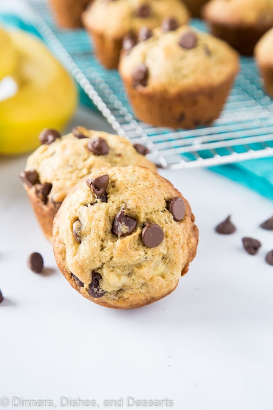 banana chocolate chip muffins with bananas in background