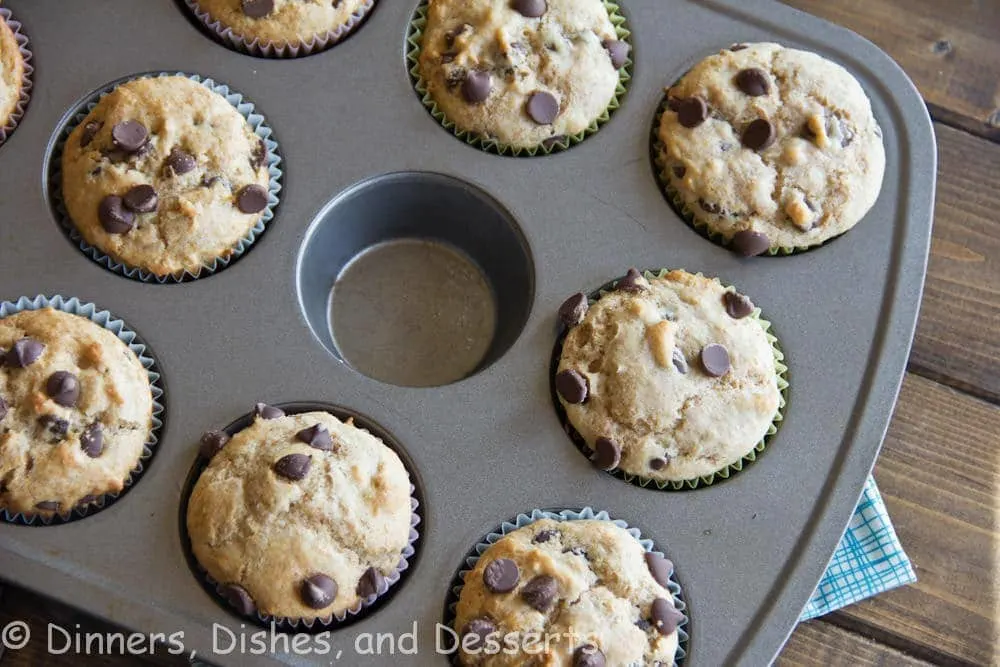 buttermilk chocolate chip muffins on a tpan