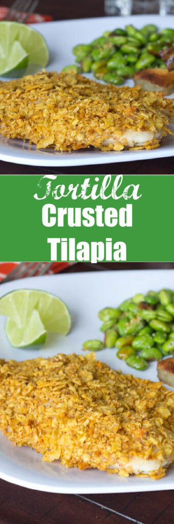close up tortilla crusted tilapia