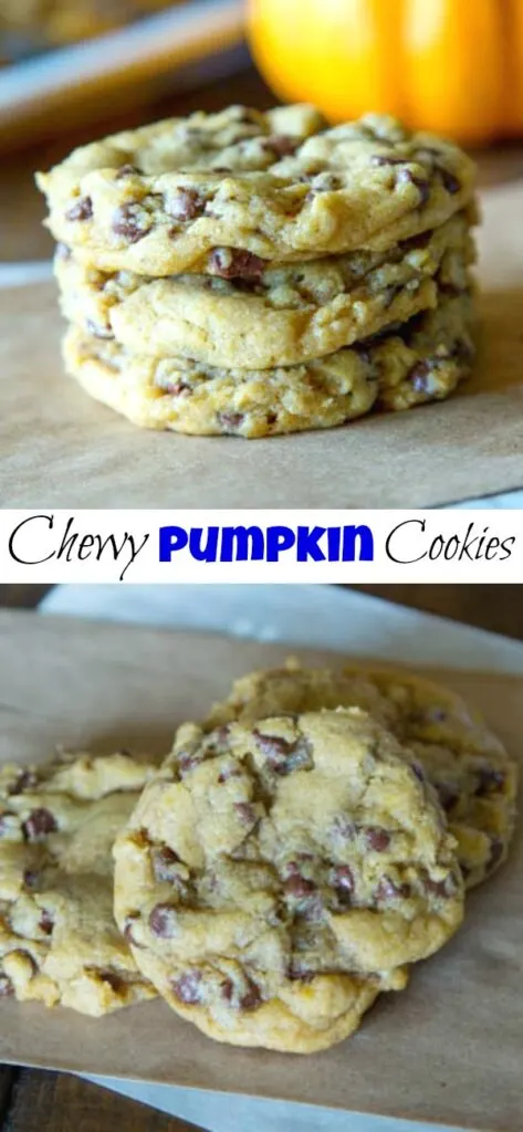 Chewy Pumpkin Chocolate Chip Cookies - classic chewy chocolate chip cookies dressed up for fall with a little pumpkin!  These are thick, chewy and anything but cakey!