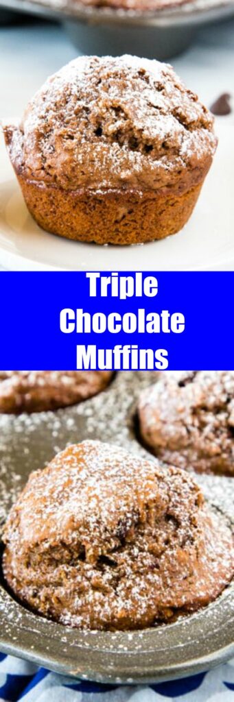 Triple Chocolate Muffins - rich chocolate chocolate chip muffins that are moist, tender, and actually pretty good for you!