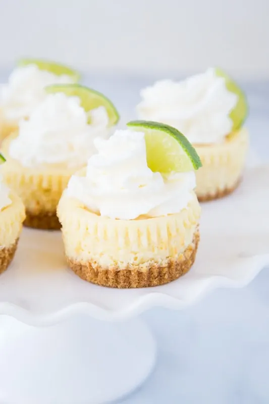 mini key lime cheesecake with graham cracker crust and topped with whipped cream
