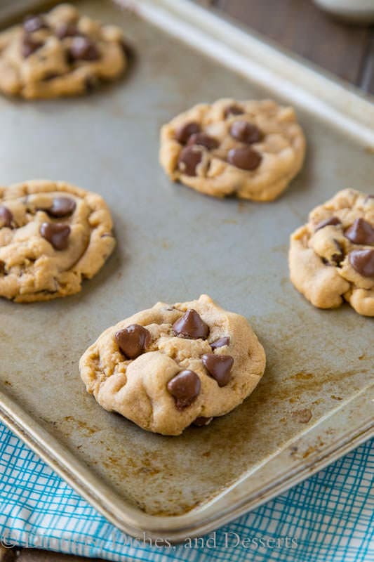 Peanut Butter Chocolate Chip Cookies are soft, fluffy, and full of chocolate and peanut butter!