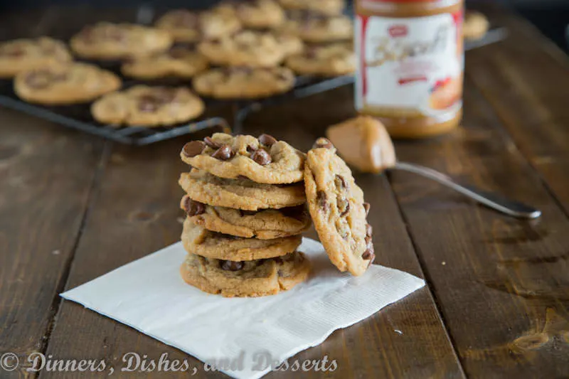 Biscoff Chocolate Chip Cookies {Dinners, Dishes, and Desserts}
