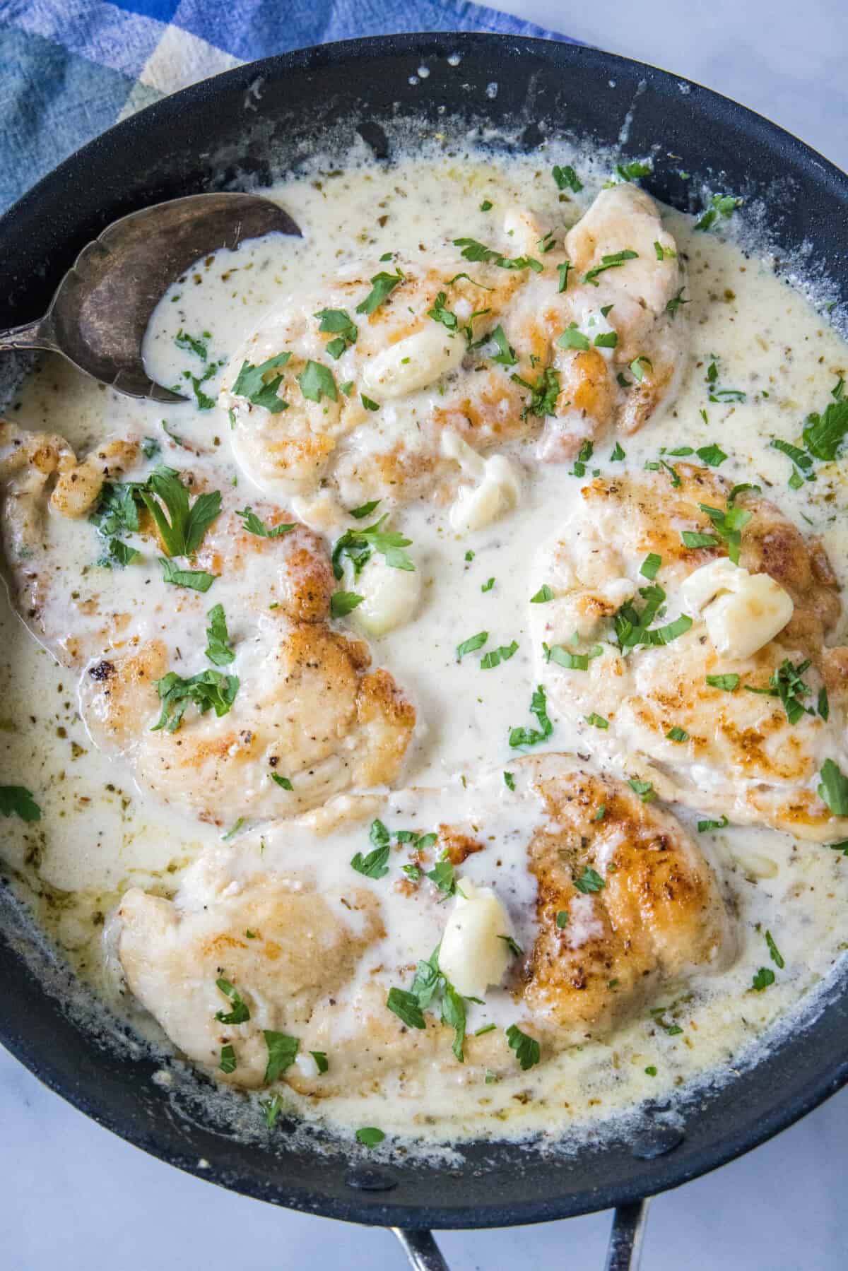 This one-pan creamy garlic chicken with golden, pan-seared chicken breasts in a rich garlic sauce is an easy dinner, ready in 30 minutes! Overhead view of creamy garlic chicken in a skillet.