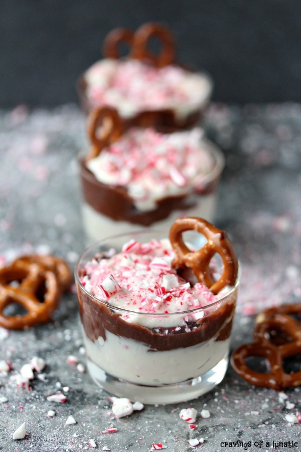 White Chocolate and Milk Chocolate Peppermint Dip {Cravings of a Lunatic}