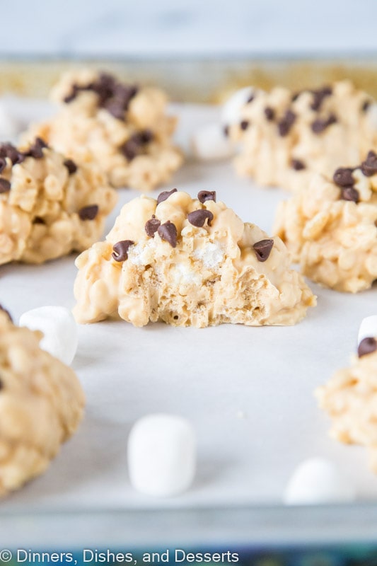 Avalanche Cookies with chocolate chips on top