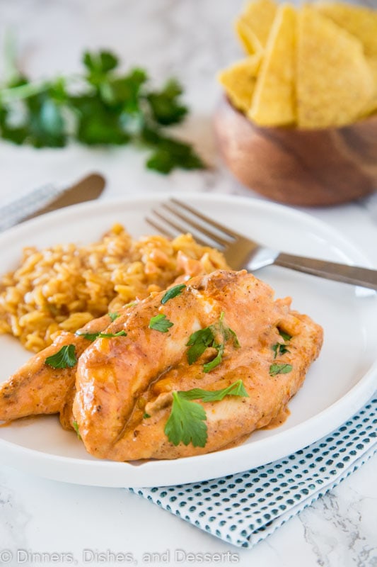 A plate of food on a table, with Chicken and Salsa