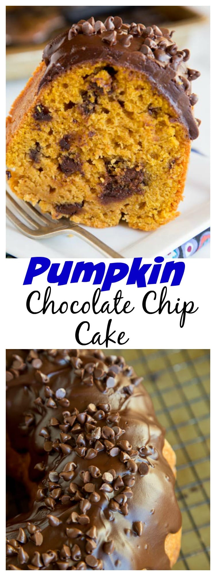 Pumpkin Chocolate Chip Cake Dinners Dishes and Desserts