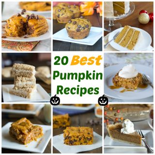 Pumpkin Recipes Round Up - 20 great recipes that are going to make you crack open that can of pumpkin in your pantry!