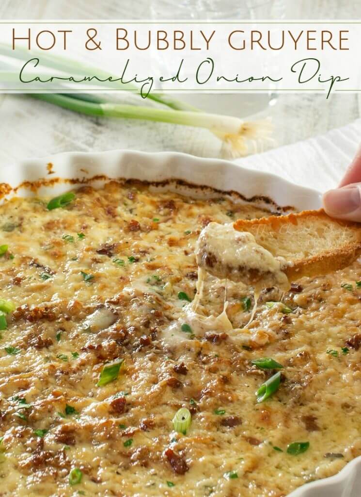 Hot and Cheese Caramelized Onion Dip {The Chunky Chef}