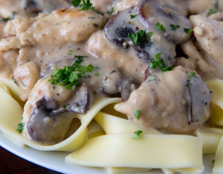 Creamy Chicken Stroganoff - tender chicken in a creamy mushroom sauce over egg noodles. Mix up the protein from classic beef stroganoff recipes.