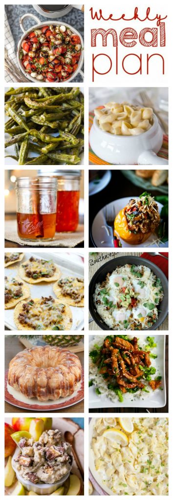 Weekly Meal Plan Week 113– 10 great bloggers bringing you a full week of recipes including dinner, sides dishes, and desserts!