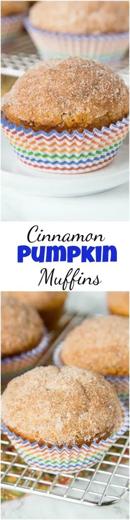 Cinnamon Pumpkin Muffins - soft tender pumpk