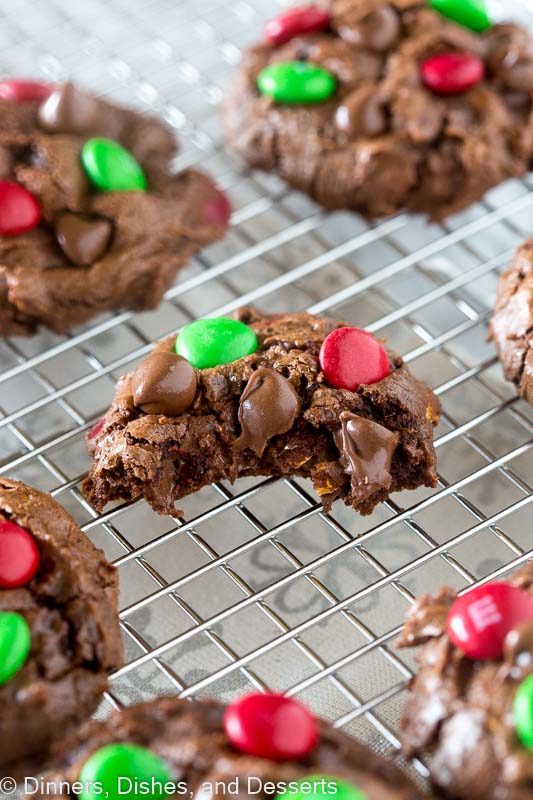 Double Chocolate Chip Cookies - literally melt in your mouth!