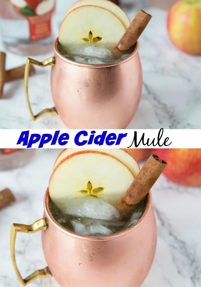 apple cider mule in a glass