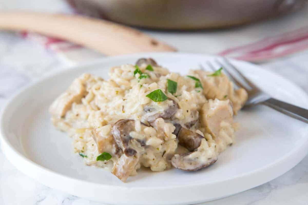 Stovetop Creamy Chicken and Rice is a creamy, cheesy one-pan dinner with tender chicken, mushrooms, and rice, ready in just 30 minutes.