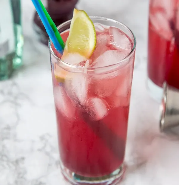 Pomegranate Gin and Tonic - a classic gin and tonic with a twist!  Add pomegranate juice and a little lime juice for a sweet, tart, and delicious cocktail! 