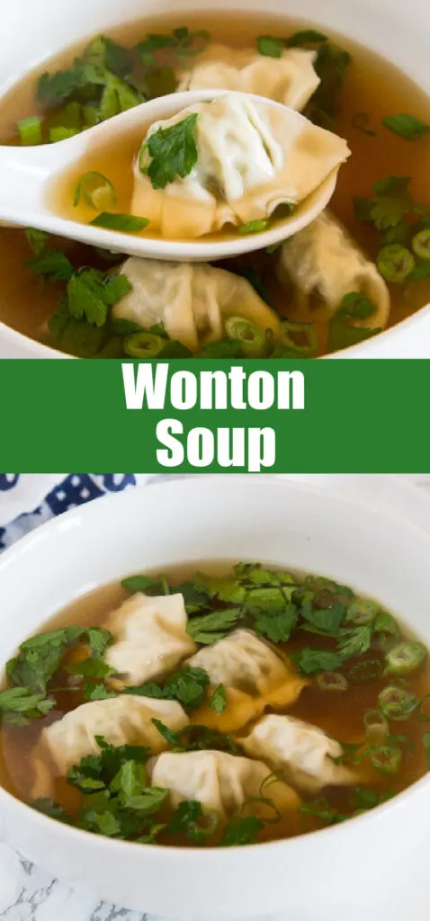 close up soup with wontons