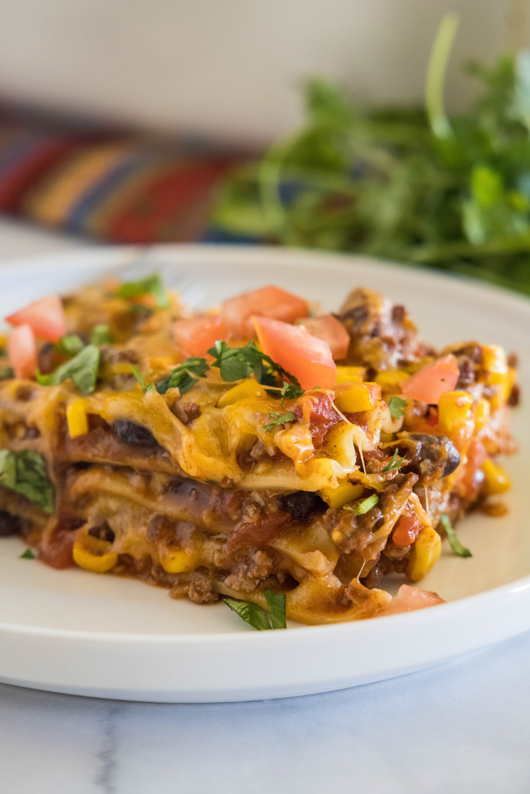 A serving of Mexican lasagna on a white plate.