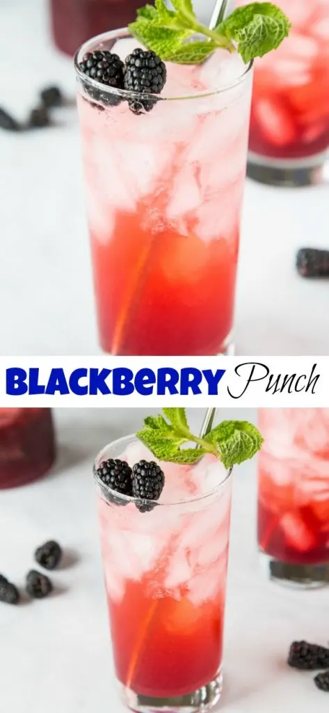 Blackberry Lime Punch - use those fresh blackberries to make a super easy and refreshing punch!Â  Great for parties or just to have in the fridge.Â 