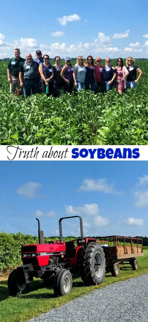 The Truth About Soybeans - Do you know how soybeans are grown?Â  Should we be eating more of them? How can I incorporate them in my diet?Â Â 