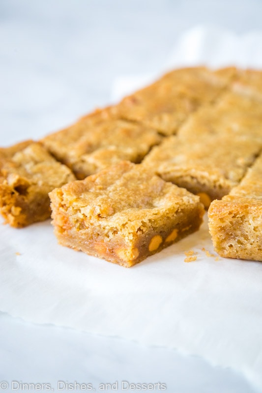 Butterscotch Blondies are buttery and delicious - great dessert any time of year
