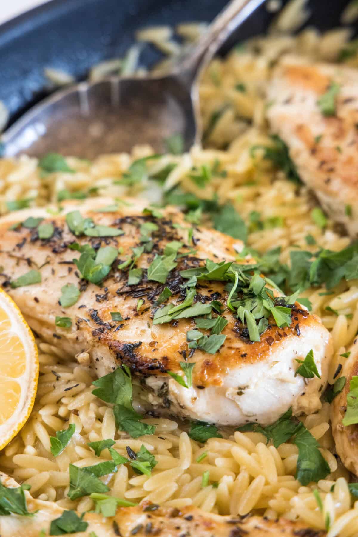 Close up of one pan chicken with orzo in a skillet.