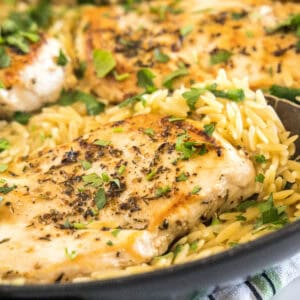 Close up of one skillet chicken with orzo.