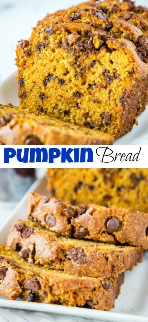 Chocolate Chip Pumpkin Bread - soft and tender pumpkin bread loaded with chocolate chips.  Full of cinnamon and spices and perfect for fall!  