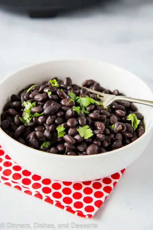 Use dried beans in the crock pot to make the best side dish! Slow Cooker Black Beans are quick and easy.