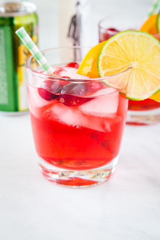 Gin and Cranberry Juice Cocktail Drink Recipe - dobbernationLOVES