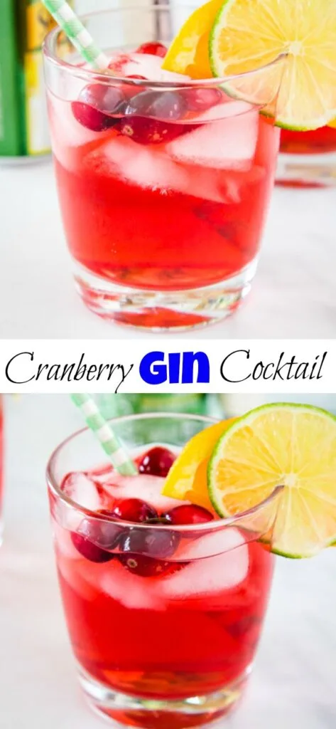 Make this Gin and Cranberry for an easy drink recipe