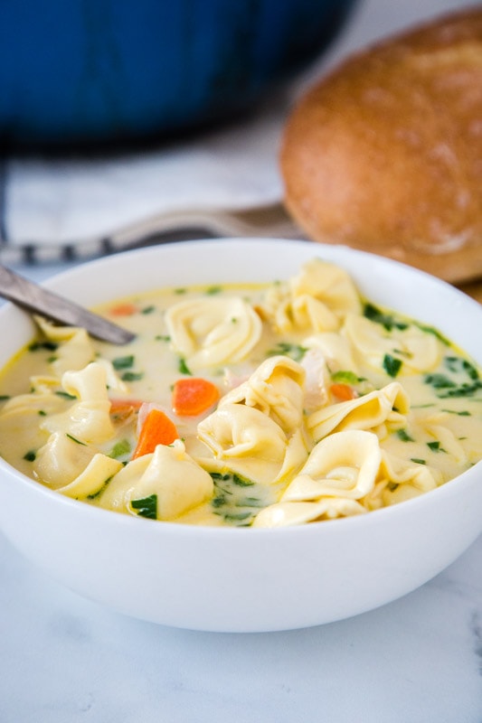Get this soup on the table in minutes! Super easy and comforting creamy chicken tortellini soup is great for busy weeknights