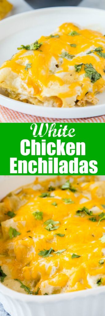 White Chicken Enchiladas - super easy sour cream chicken enchiladas that are made with lots of creamy and tangy sour cream for a delicious white sauce. They are cheesy, full of flavor and great for dinner anytime!