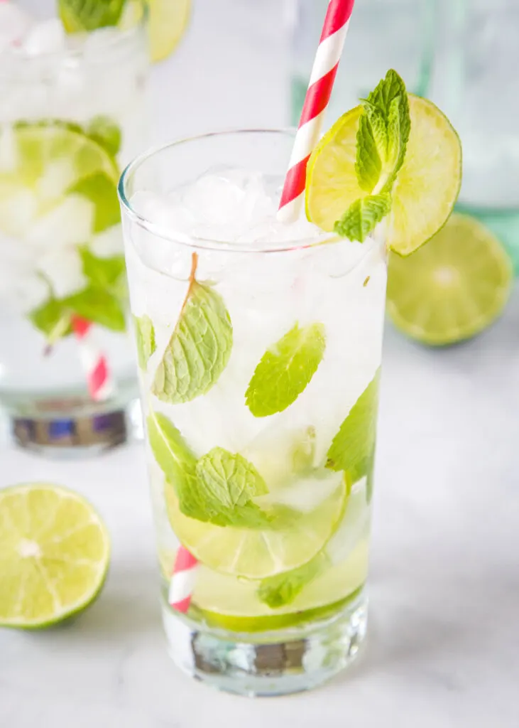 Fresh mint makes this classic mojito drink recipe extra tasty!