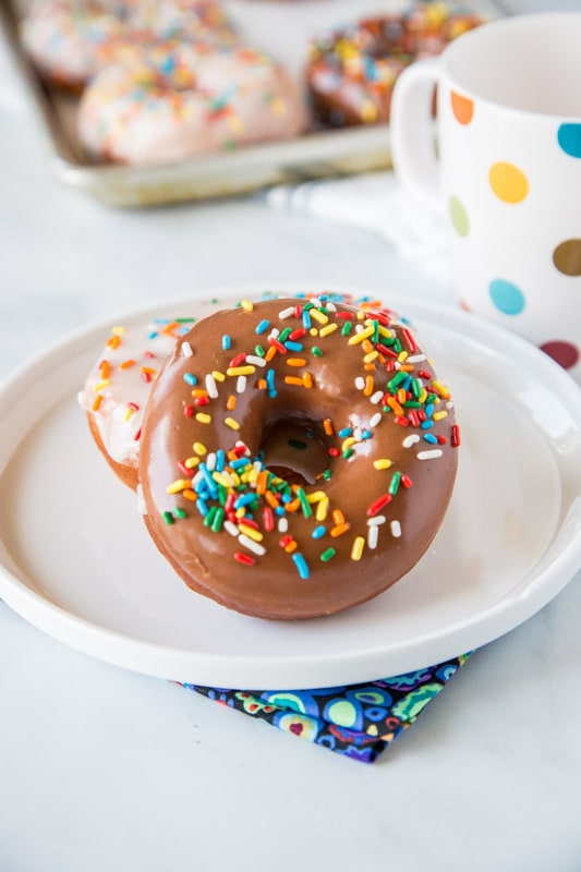 Chocolate raised donut with sprinkles