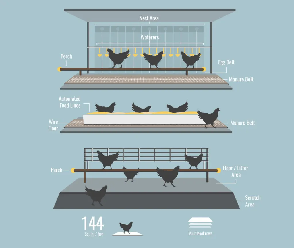 cage free hen housing model