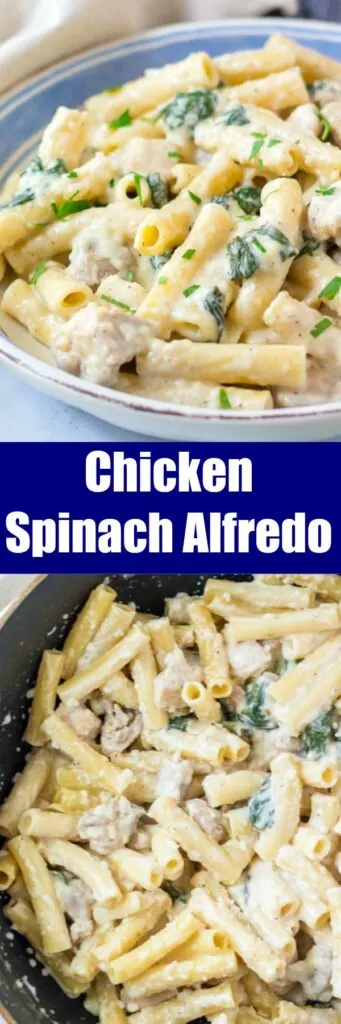One Pan Chicken Spinach Alfredo - a quick and easy meal with pasta, chicken, spinach and alfredo sauce all cooked in one pan!  Super easy and delicious! 