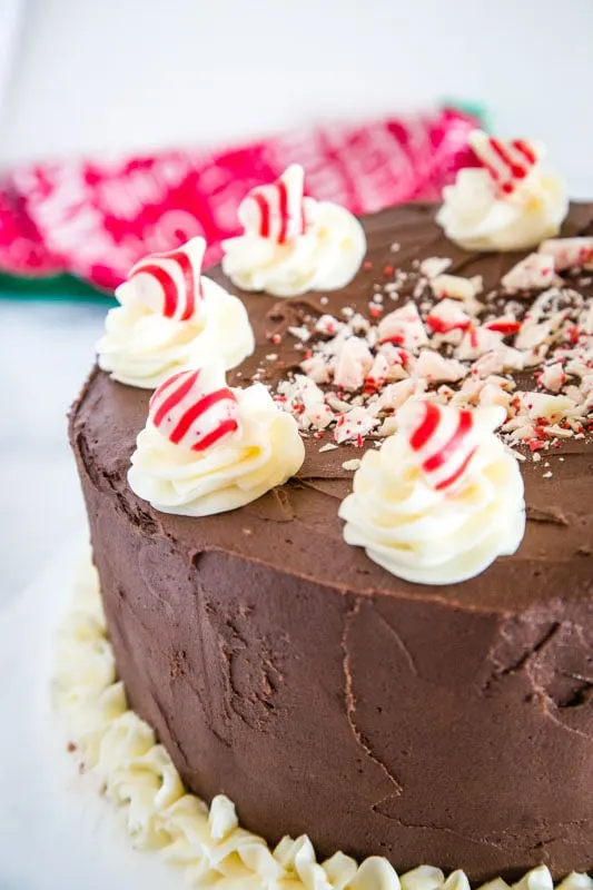 close up peppermint chocolate layer cake